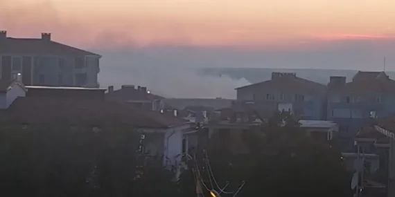 Kent Konseyi anız yangınlarına dikkat çekti