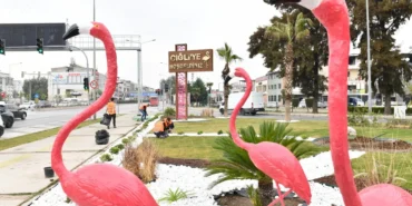 izmir-cigli-de-ziyaretcileri-flamingolar-karsiliyor-1731761096-900_large.webp