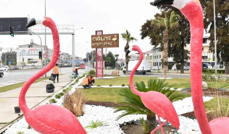 izmir-cigli-de-ziyaretcileri-flamingolar-karsiliyor-1731761096-900_large.webp
