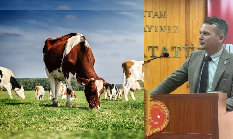 mustafa-ustun-1731760678-338-x750