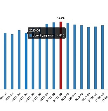 tuik-ucretli-calisan-sayisi-yillik-27-artti