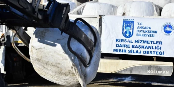 Ankara Kalecikli üreticiye can suyu