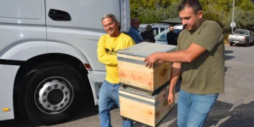 antalya-buyuksehir-den-bal-ureticilerine-ari-kovani-1734152497-708_large.webp