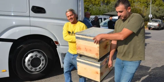 Antalya Büyükşehir’den bal üreticilerine arı kovanı