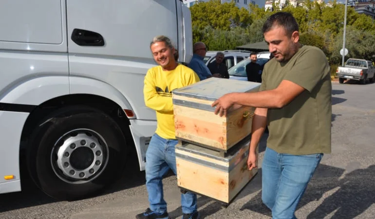 antalya-buyuksehir-den-bal-ureticilerine-ari-kovani-1734152497-708_large.webp