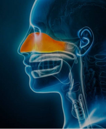 1737705138_sin__zit_g__rsel-min