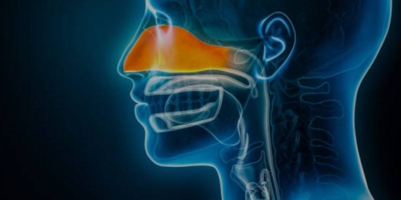 Sinüzit Aromaterapik Formülle İyileşir mi ?