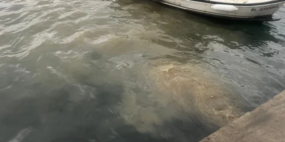 İstanbul Üsküdar’da atık su deşarjına inceleme!