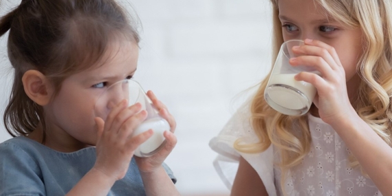 UHT sütlerle ilgili efsane ve gerçekler!