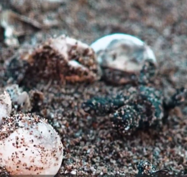 ekran-alintisi2-1756031459-871-x750