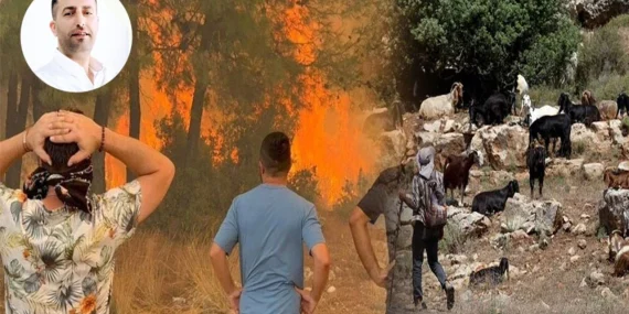 Bir kara keçinin yokluğu bin ağaç yakar