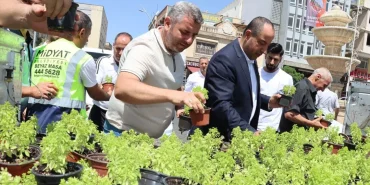 mardin-feslegen