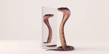 Rüyada Yılanın Kendi Yansımasına Bakması Rüya Tabiri