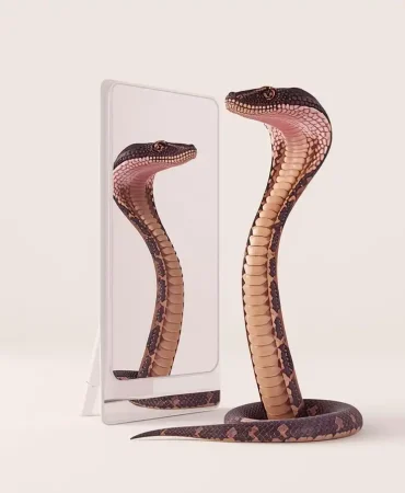 Rüyada Yılanın Kendi Yansımasına Bakması Rüya Tabiri