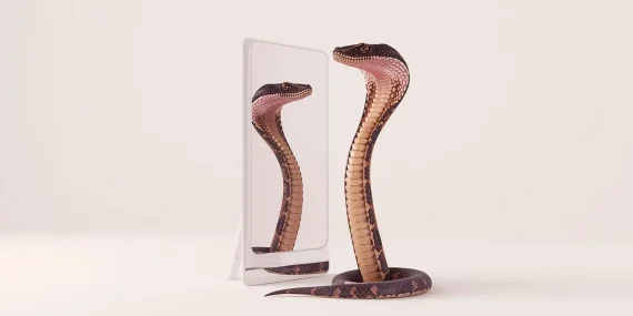 Rüyada Yılanın Ayna Karşısında Durması Rüya Tabiri