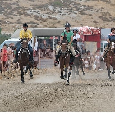 turkiyenin-en-basarili-atlari-menemende-yarisacak