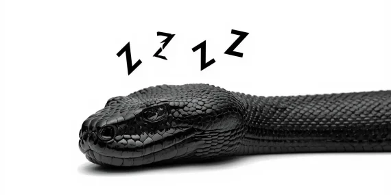 Rüyada Yılanın Uykuda Görülmesi Rüya Tabiri