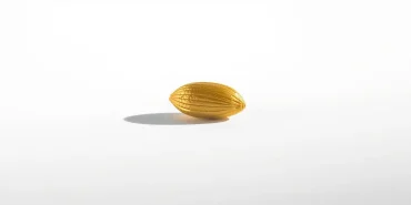 yeni-altin-ruyalar (1)