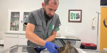 yorgun-ordegin-yardimina-buyuksehir-yetisti-1-1757031420-169-x750