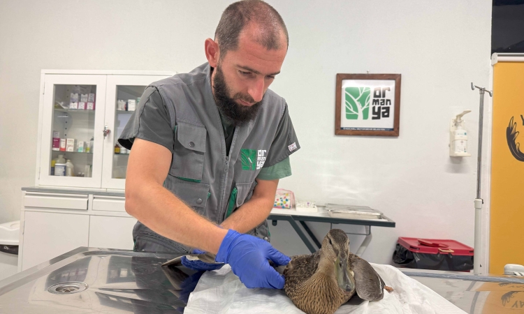 yorgun-ordegin-yardimina-buyuksehir-yetisti-1-1757031420-169-x750