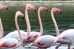 baskan-buyukakin-buyuleyen-goruntuleri-paylasti-3-1760958360-850-x750