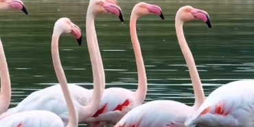 baskan-buyukakin-buyuleyen-goruntuleri-paylasti-3-1760958360-850-x750