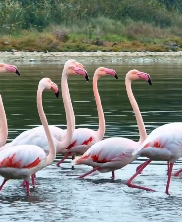 baskan-buyukakin-buyuleyen-goruntuleri-paylasti-3-1760958360-850-x750