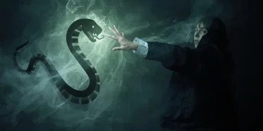 yilandan-korunmak (3)