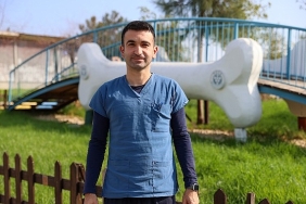 bucada-3-bin-54-sokak-kedisi-kisirlastirildi