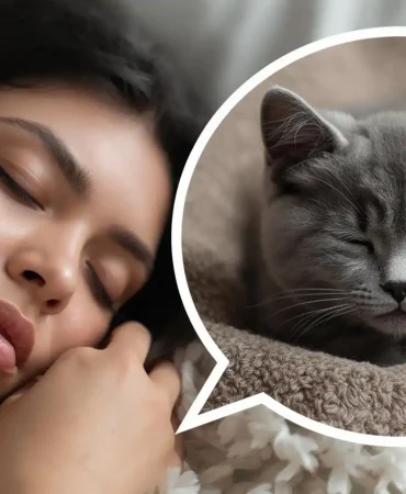 Rüyada-Yavru-British-Kedi (4)