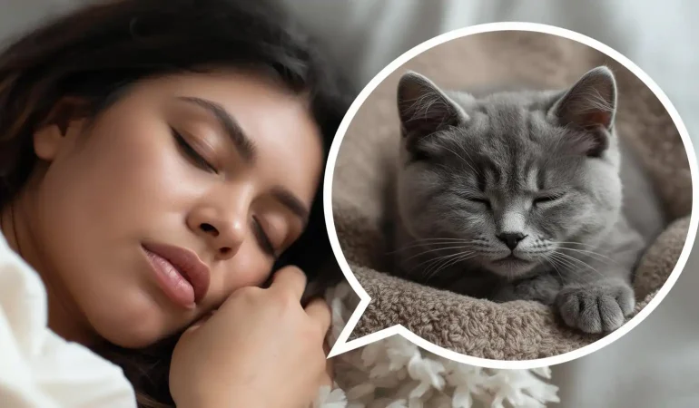 Rüyada-Yavru-British-Kedi (4)