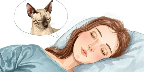 Rüyada Tüysüz Kedi Görmek Ne Anlama Gelir?