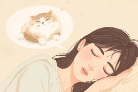 Yavru-İran-Kedisi (3)