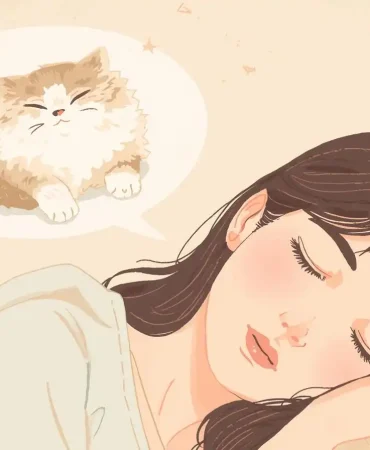 Yavru-İran-Kedisi (3)