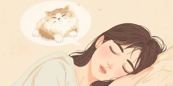 Rüyada Yavru İran Kedisi Görmek Ne Anlama Gelir?