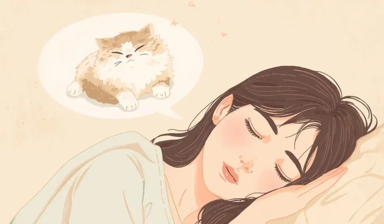 Yavru-İran-Kedisi (3)