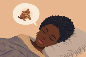 Yavru-Tekir-Kedi (2)