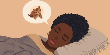 Yavru-Tekir-Kedi (2)