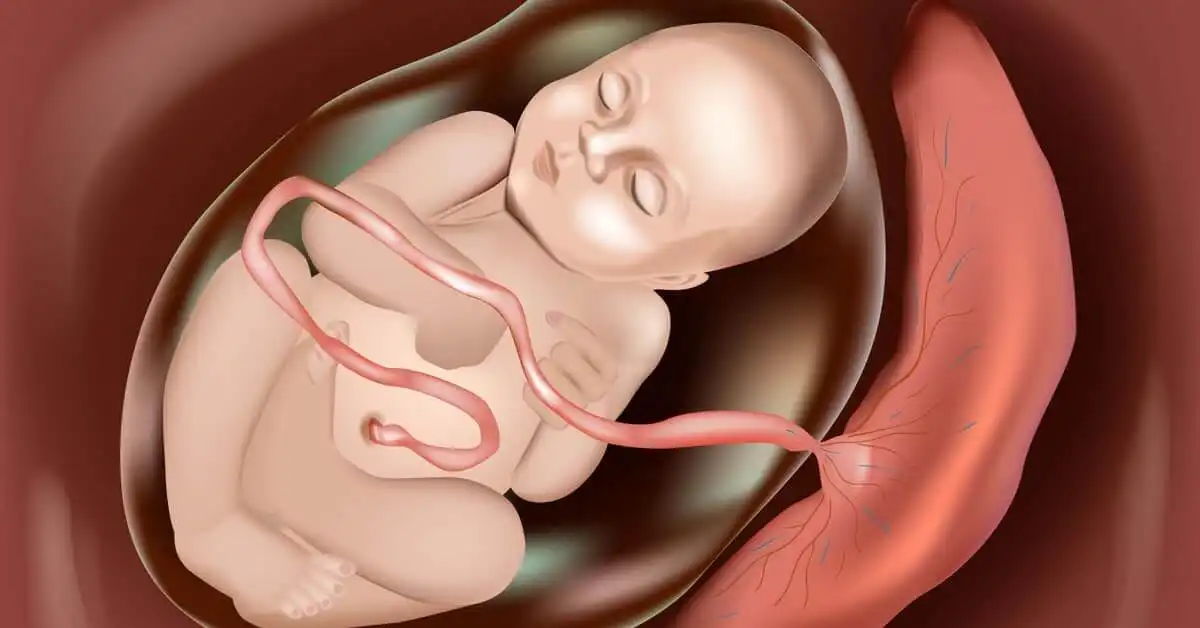 Rüyada Bebek Kordonu Görmek Ne Anlama Gelir?