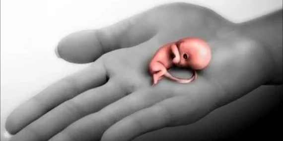 Rüyada Bebek Düşürmek Ne Anlama Gelir?