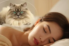 iran-kedisi-ruya (4)