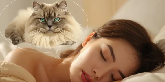 Rüyada İran Kedisi Görmek Ne Anlama Gelir?