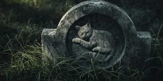 Rüyada Ölmüş Kedi Görmek Ne Anlama Gelir?