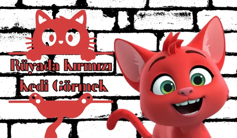 kirmizi-cat (1)