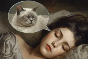 ruyada-British-kedi (4)