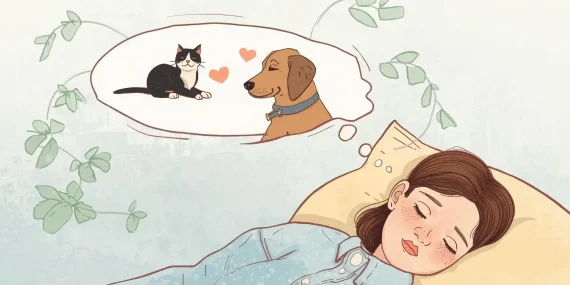 Rüyada Kedi ve Köpek Görmek Ne Anlama Gelir?