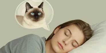 ruyada-siyam-kedisi (2)