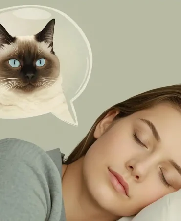 ruyada-siyam-kedisi (2)