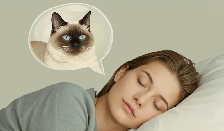 ruyada-siyam-kedisi (2)