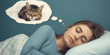 ruyada-tekir-kedi (2)